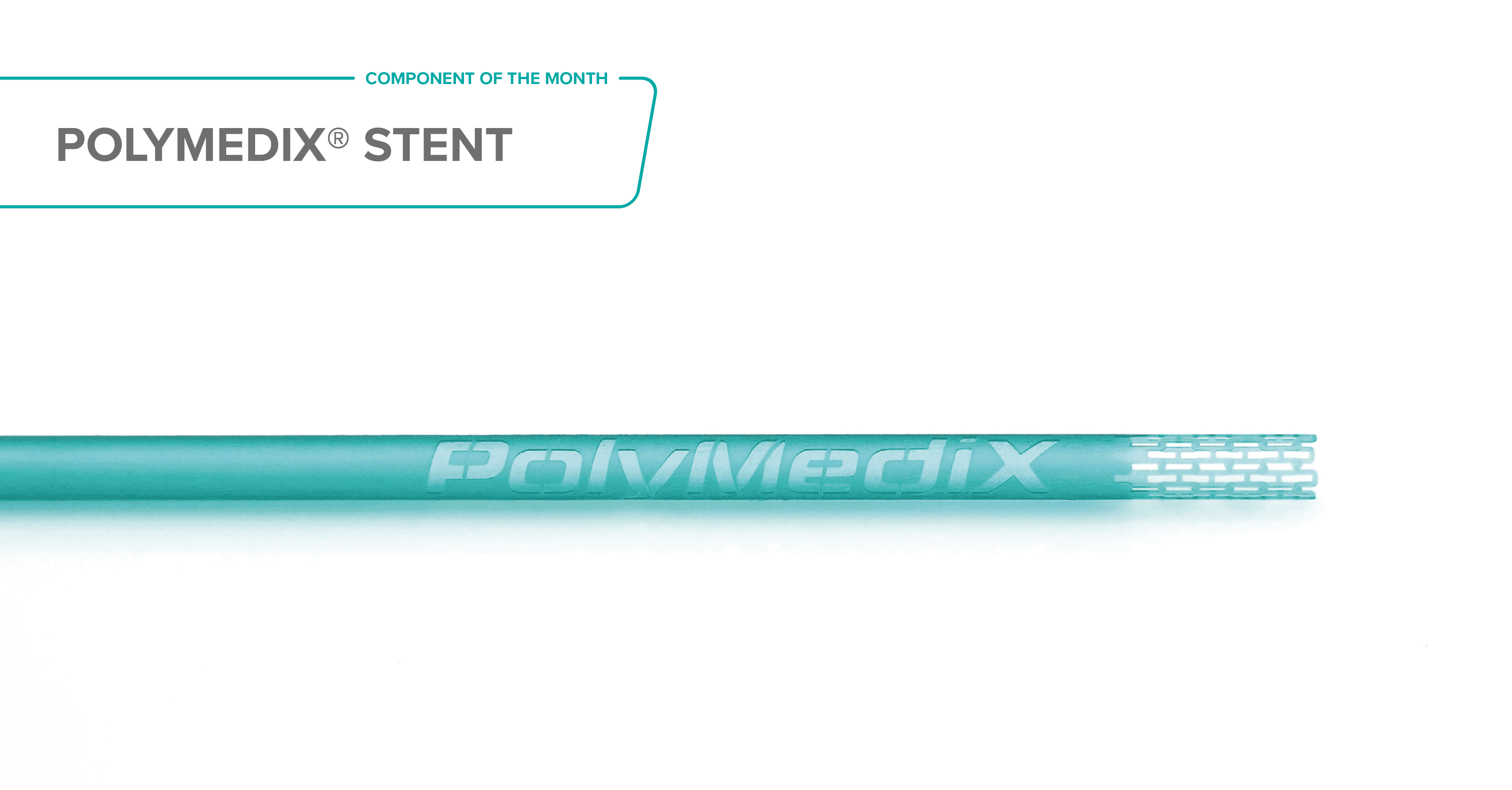 PolyMediX® Stents